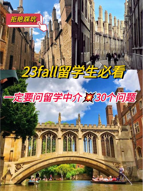 中介坑里的宝子 资格认定取消后，自费出国留学中介的危与机
